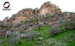 طبیعت خشت